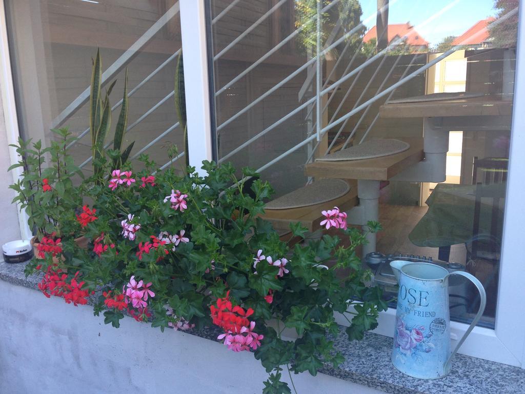 Casa vacanze Bruecke *